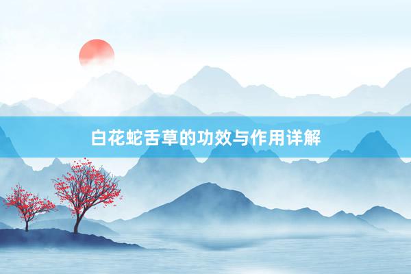 白花蛇舌草的功效与作用详解