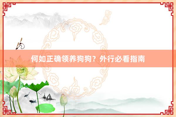 何如正确领养狗狗？外行必看指南